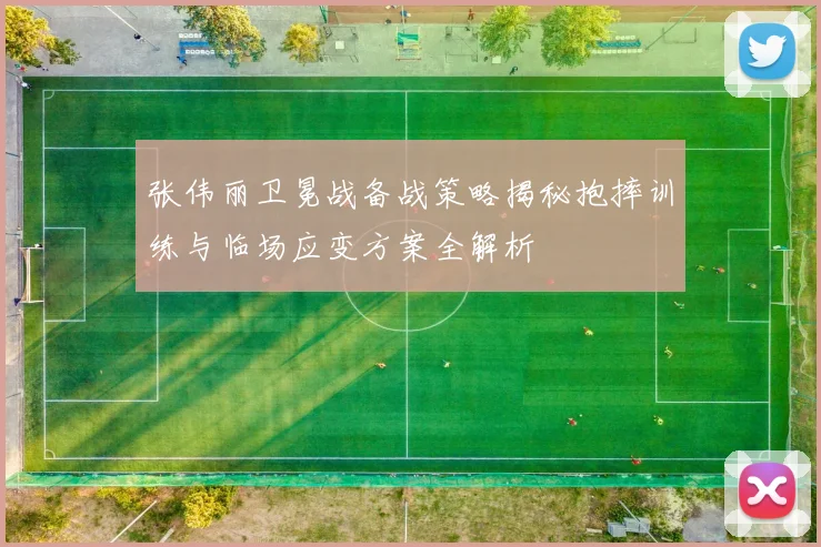 张伟丽卫冕战备战策略揭秘抱摔训练与临场应变方案全解析